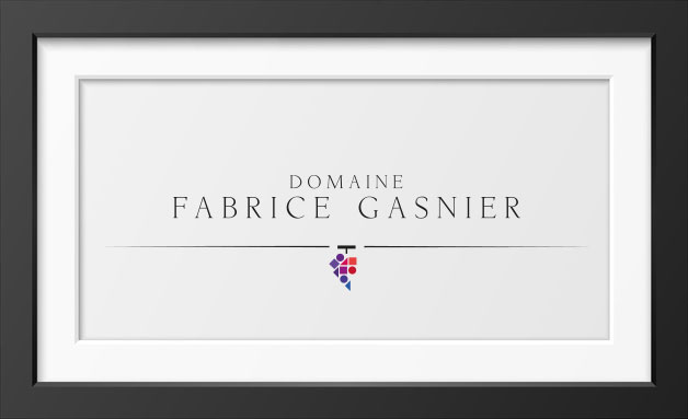 Vins - Domaine Fabrice Gasnier