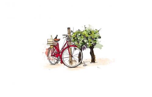 Illustration à Vélo dans les Vignes