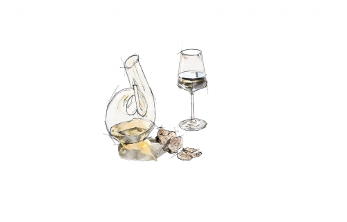 Illustration Truffe Blanche et Vin Blanc